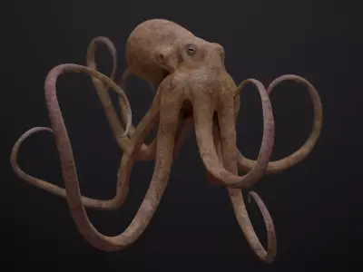 Octopus Game Ready Low-poly 3D model