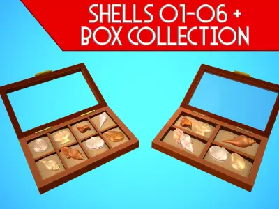 SHELL 01-06 BOX 01-02 PACK CARTOON STYLIZED Low-poly 3D model