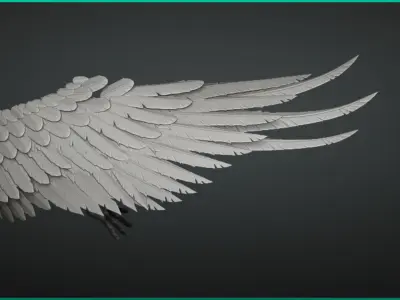 Stylized Feathers - 20 Insert mesh Zbrush 3D model