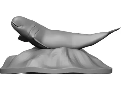 Whale 3D model get