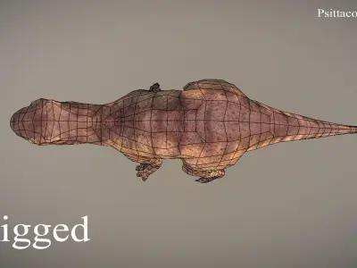 Thai Dinosaur Psittacosaurus Low-poly 3D model