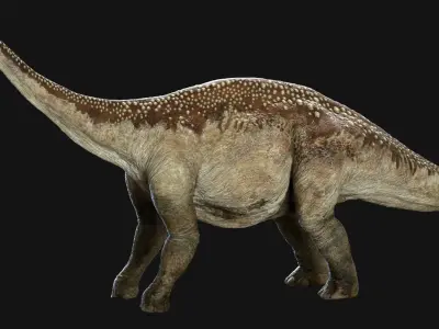 Argentinosaurus 3D (Rigged) 3D model