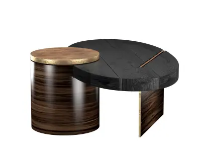 PRIMAL COFFEE TABLE 3D model