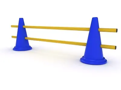 Training Cone 3D model