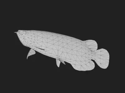 Arowana Low-poly 3D model purchase