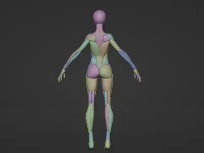 female character basemeshse 3d 3D model purchase