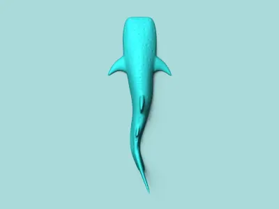 Whale Shark - Wall Decor - Decoration 3D print model