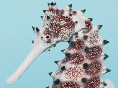 Spiny Seahorse Rigged Animated 3D model