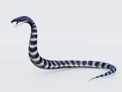 Snake Free 3D model 4