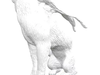 CAT DEATH STRANDING 2 ON THE BEACH 3D model