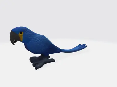 Macaw parrot 3d model Low-poly 3D model
