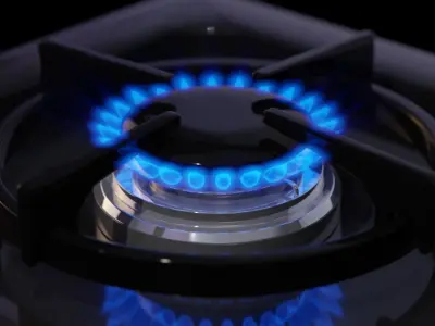 Gas Stove Flames 3D model