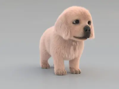 Dog Puppy Golden Retriever FUR ANIMATED 3D model