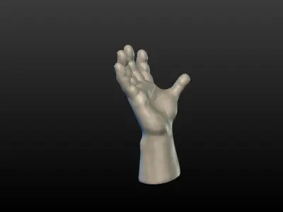 High Poly Hand 3D print model