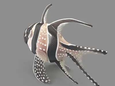  Pterapogon kauderni Low-poly 3D model
