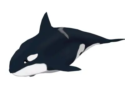 Killer whale Low-poly 3D model buy