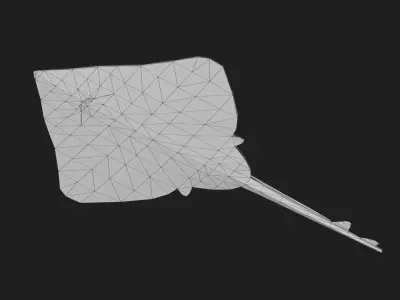 Clearnoseskate Low-poly 3D model