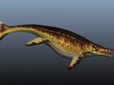 Shonisaurus dinosaur 3D model purchase