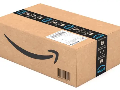 Cardboard Box Amazon 3D model