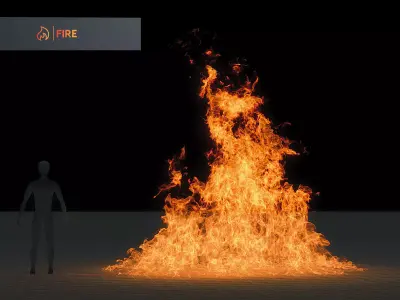 3D Fire Animation 3D model