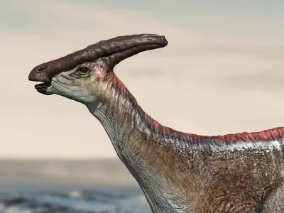 Parasaurolophus 3D Rigged model Low-poly 3D model
