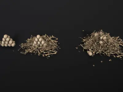 Broken Skulls with Spider Webs COLLECTION Low-poly 3D model