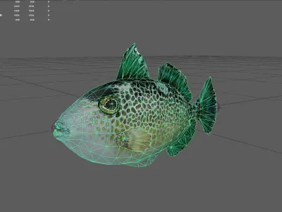 Triggerfish Low-poly 3D model purchase