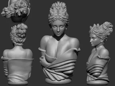 female bust 3D print model