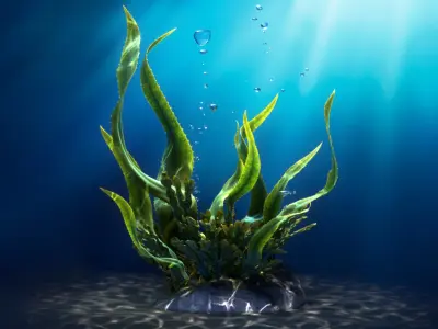 Seaweed Animated 3D model