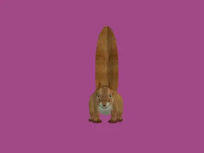 squrrel lowpoly 3d model 3D model purchase