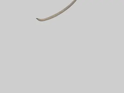 Hyena Tail Model Low-poly 3D model