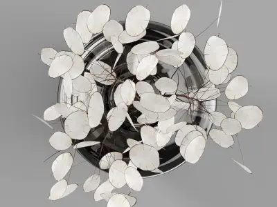 H24 Dark gray tinted glass vase with Lunaria 3D model