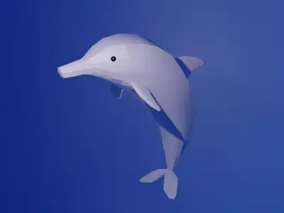 Dolphin Low-poly 3D model 5