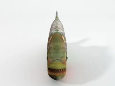 Piranha fish Low-poly 3D model