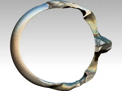 Part  Skull Ring Men Woman Gothic  3D print model