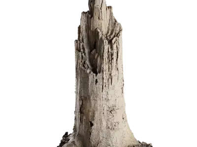  Medium Broken Splintered Bare Stump Model 