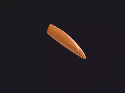 Orange Bird Arm 3D model
