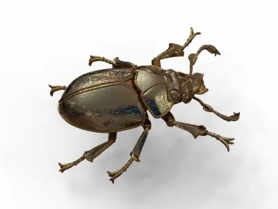 Golden Mechanical Stag Beetle 3D Model 3D model