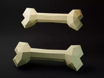 Bone lowpoly model Free 3D model