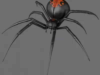 Spider Black Widow 3D model purchase