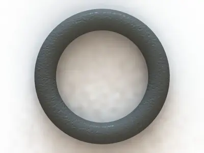 O Ring Vedabras 12559 3D model