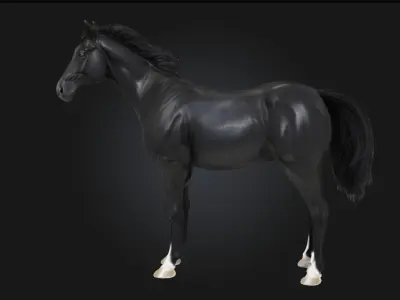 Midnight Elegance  Radiant Sophistication in the Depth of Night 3D model
