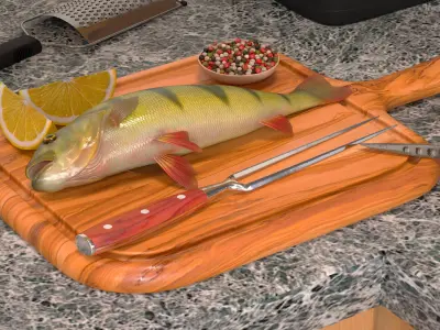  Caught Yellow Perch Fish Lying Pose 