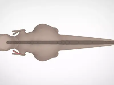 Red Claw 3D model