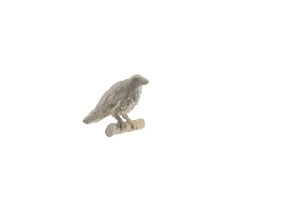 crow head Free 3D model