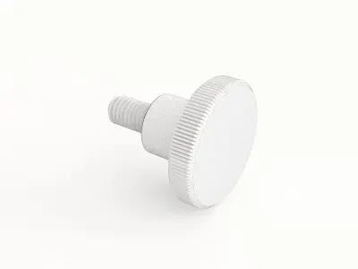 Screw 89 3D model