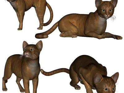 wendys ginger cat 3D model