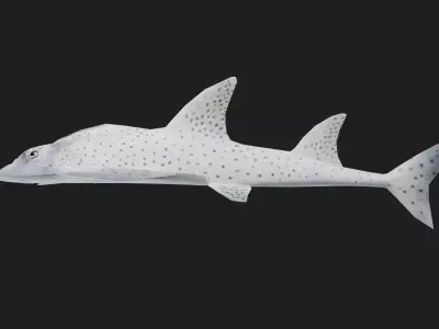 Skate Low-poly 3D model 2