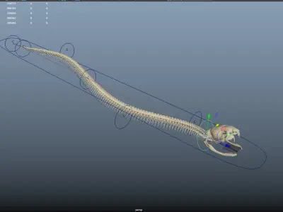  Snake skeleton rigged 