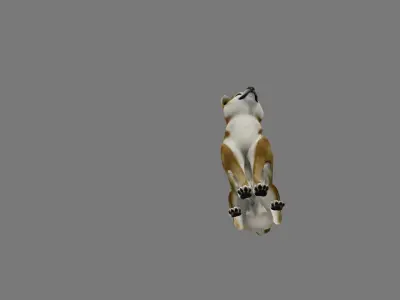 animated shiba inu dog Low-poly 3D model